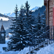Morgins